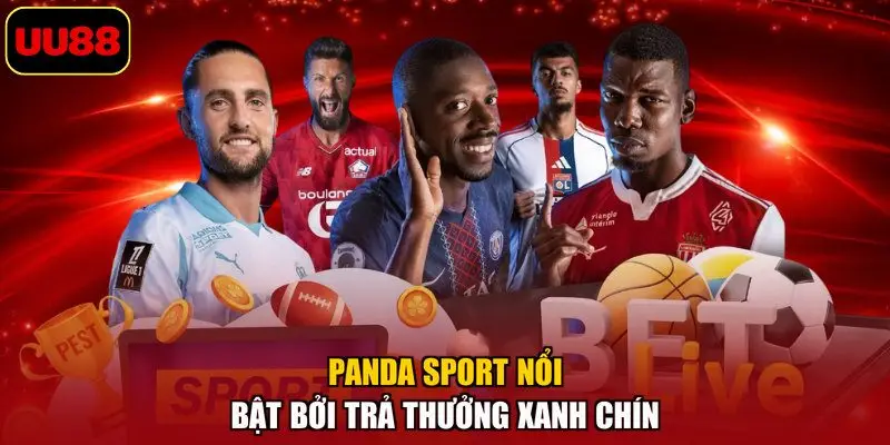 Panda Sport nổi bật bởi trả thưởng xanh chín